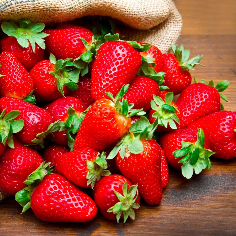 Fresh Organic Strawberries From South France - Image 2