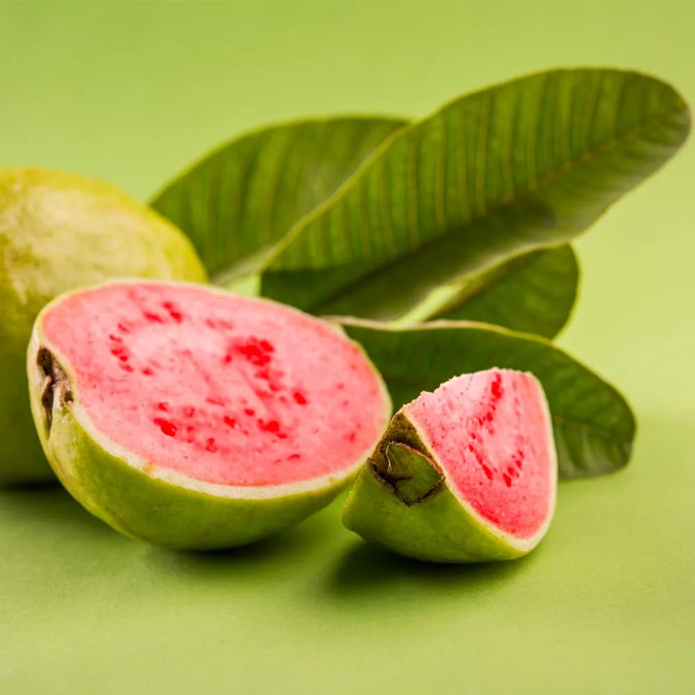 Guava Ruby Red Flesh From South Canada—1Kg - Image 2